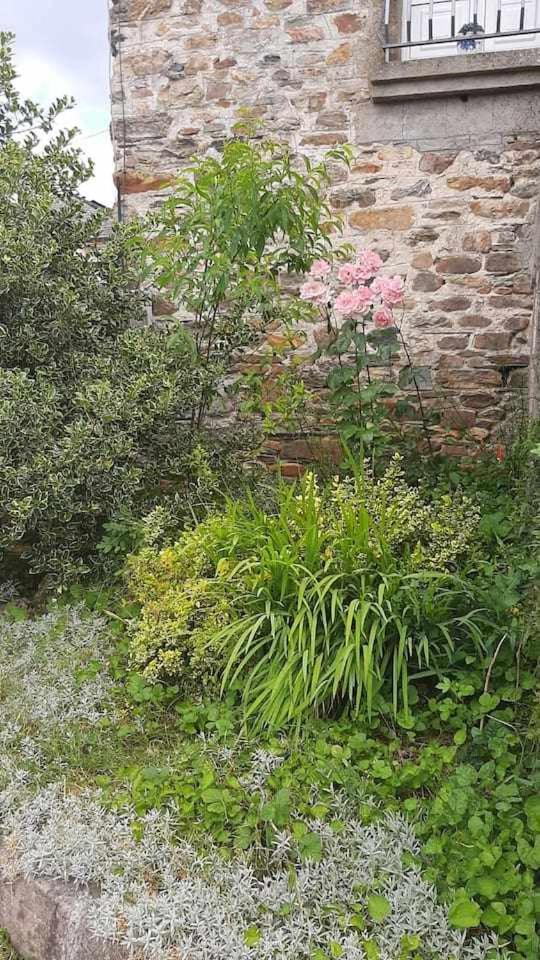 Casa Do Hiebra Alojamiento Rural Ribeira Sacra Villa Castroncelos Exterior photo