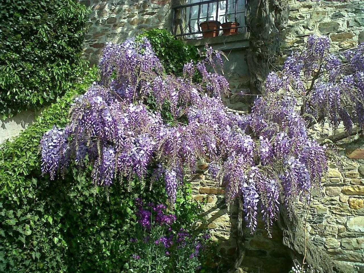 Casa Do Hiebra Alojamiento Rural Ribeira Sacra Villa Castroncelos Exterior photo